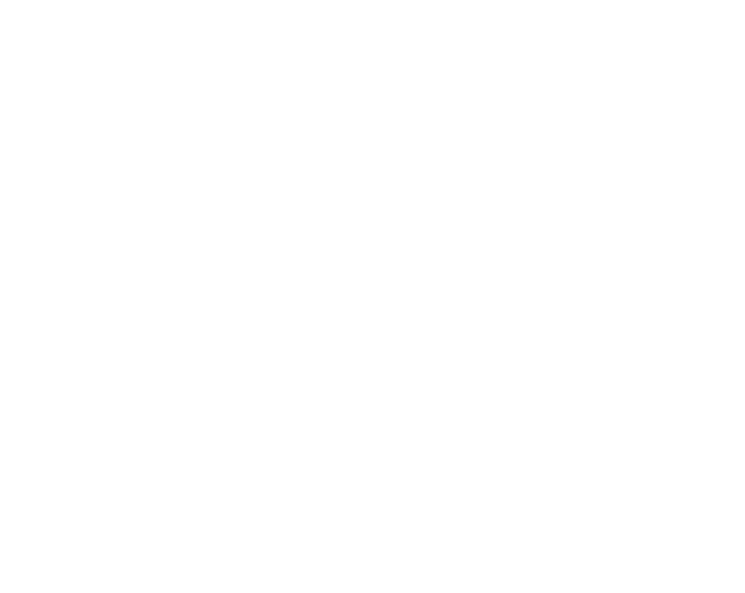 Wisesoft
